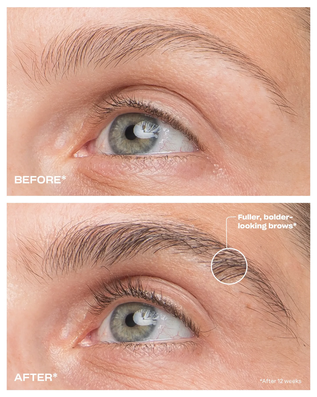 Amplifying Brow Serum